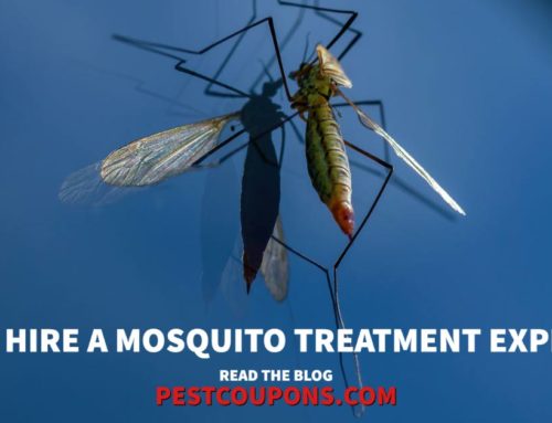 Mosquito Yard Treatment in Mississippi