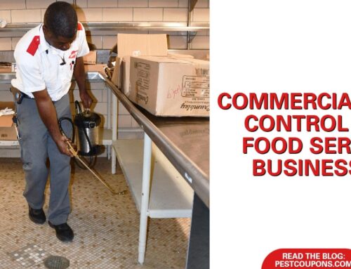 Pest Control for Food Service and Hospitality