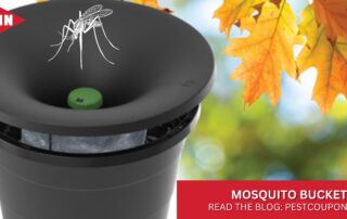 Orkin's Mosquito Bucket
